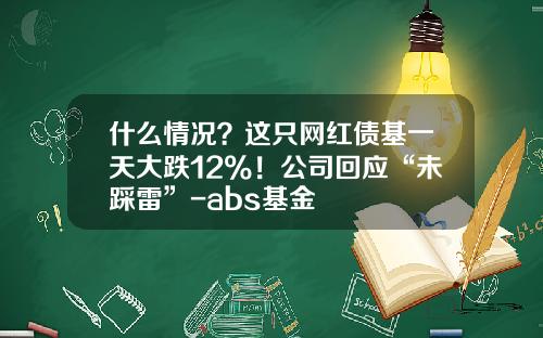 什么情况？这只网红债基一天大跌12%！公司回应“未踩雷”-abs基金