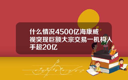 什么情况4500亿海康威视突现巨额大宗交易一机构入手超20亿