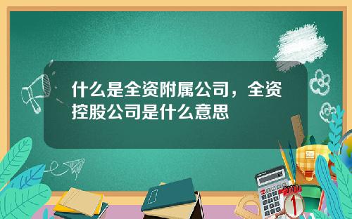 什么是全资附属公司，全资控股公司是什么意思