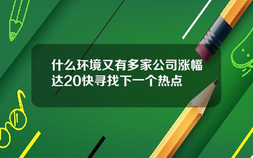 什么环境又有多家公司涨幅达20快寻找下一个热点