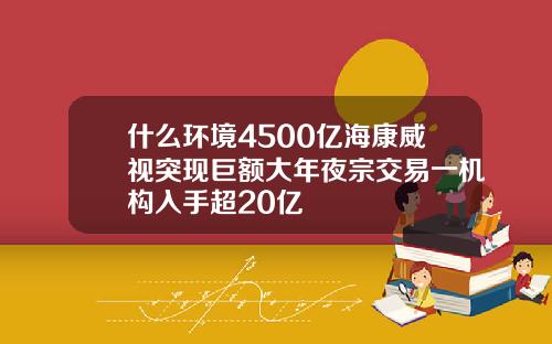什么环境4500亿海康威视突现巨额大年夜宗交易一机构入手超20亿