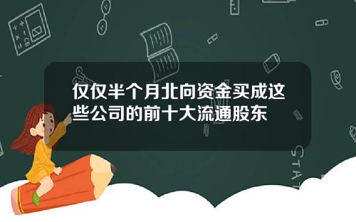 仅仅半个月北向资金买成这些公司的前十大流通股东