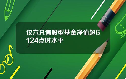 仅六只偏股型基金净值超6124点时水平