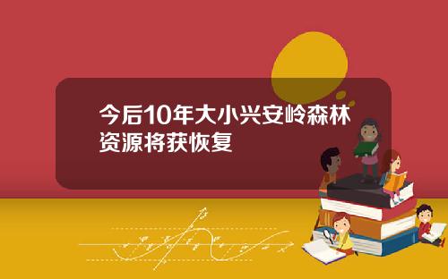 今后10年大小兴安岭森林资源将获恢复