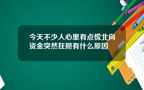 今天不少人心里有点慌北向资金突然狂抛有什么原因