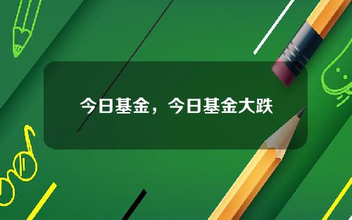 今日基金，今日基金大跌