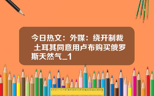 今日热文：外媒：绕开制裁 土耳其同意用卢布购买俄罗斯天然气_1