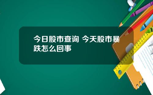 今日股市查询 今天股市暴跌怎么回事