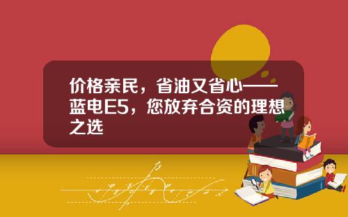 价格亲民，省油又省心——蓝电E5，您放弃合资的理想之选