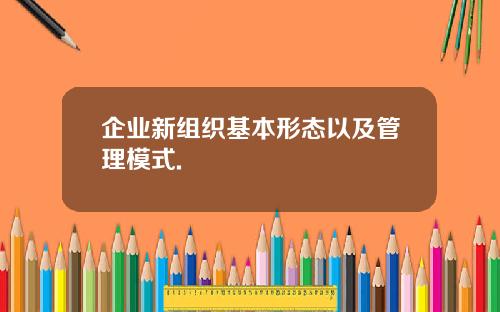 企业新组织基本形态以及管理模式.