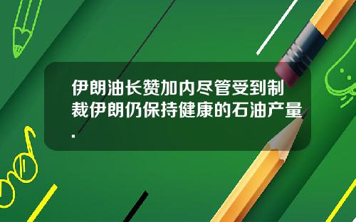 伊朗油长赞加内尽管受到制裁伊朗仍保持健康的石油产量.