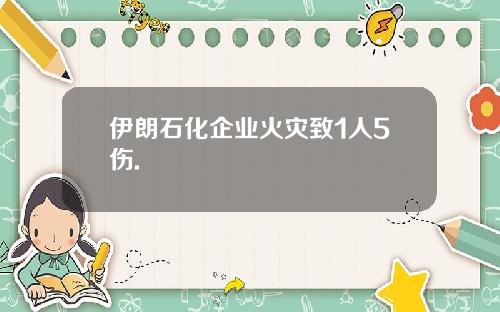 伊朗石化企业火灾致1人5伤.