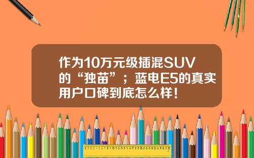 作为10万元级插混SUV的“独苗”；蓝电E5的真实用户口碑到底怎么样！