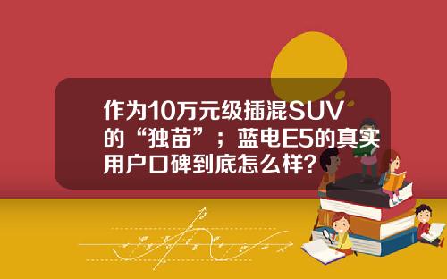 作为10万元级插混SUV的“独苗”；蓝电E5的真实用户口碑到底怎么样？