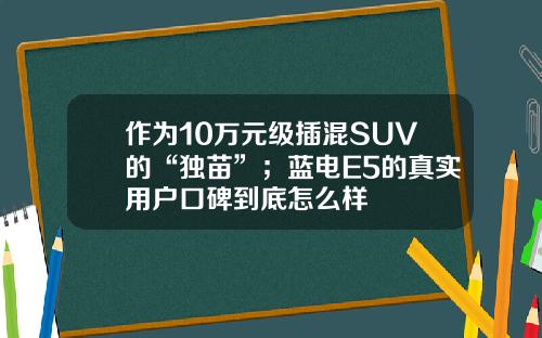 作为10万元级插混SUV的“独苗”；蓝电E5的真实用户口碑到底怎么样