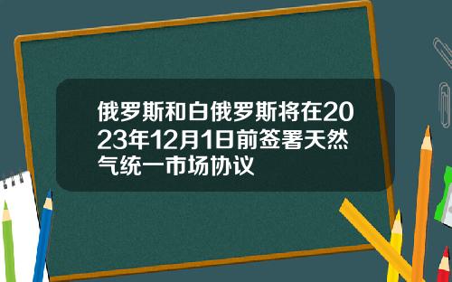 俄罗斯和白俄罗斯将在2023年12月1日前签署天然气统一市场协议