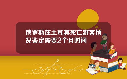 俄罗斯在土耳其死亡游客情况鉴定需要2个月时间