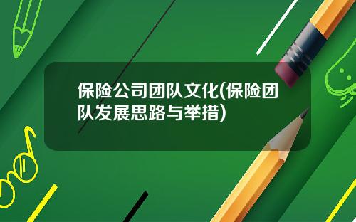 保险公司团队文化(保险团队发展思路与举措)