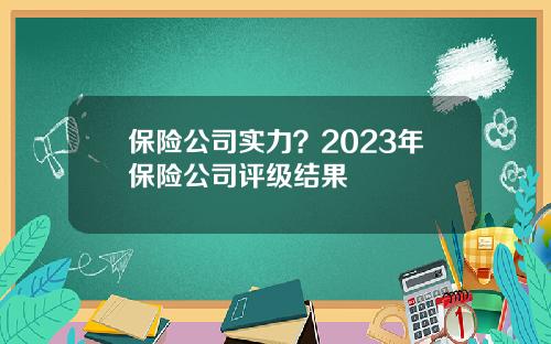 保险公司实力？2023年保险公司评级结果
