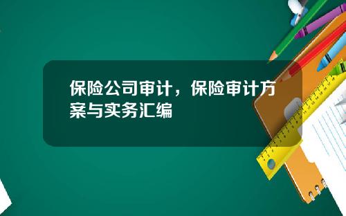 保险公司审计，保险审计方案与实务汇编