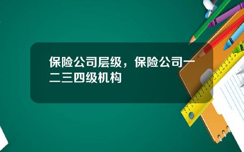 保险公司层级，保险公司一二三四级机构