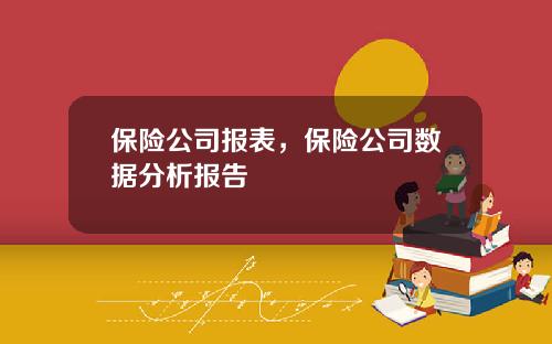 保险公司报表，保险公司数据分析报告
