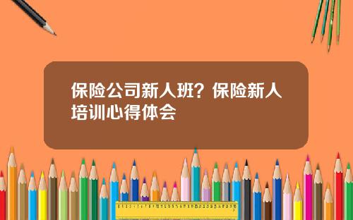 保险公司新人班？保险新人培训心得体会