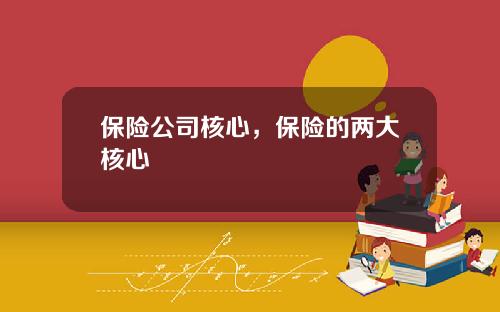 保险公司核心，保险的两大核心