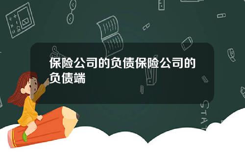 保险公司的负债保险公司的负债端