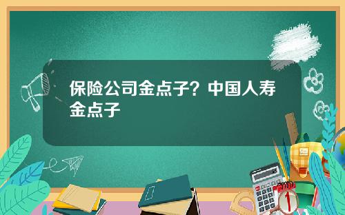 保险公司金点子？中国人寿金点子
