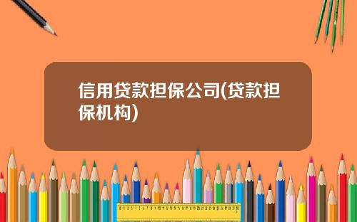 信用贷款担保公司(贷款担保机构)