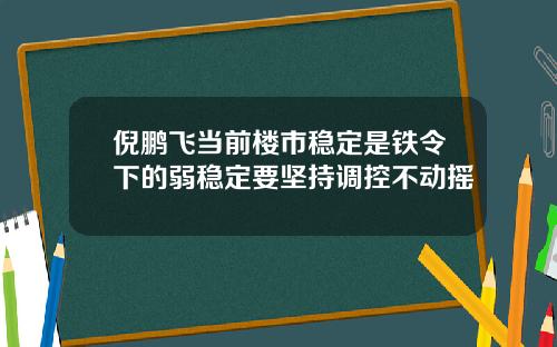 倪鹏飞当前楼市稳定是铁令下的弱稳定要坚持调控不动摇