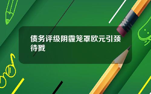 债务评级阴霾笼罩欧元引颈待戮
