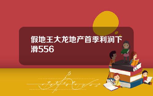 假地王大龙地产首季利润下滑556