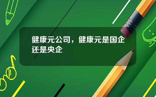健康元公司，健康元是国企还是央企