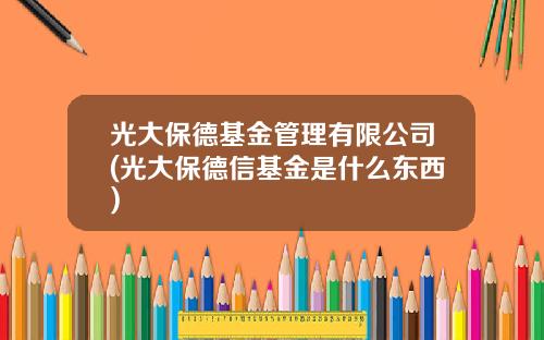 光大保德基金管理有限公司(光大保德信基金是什么东西)