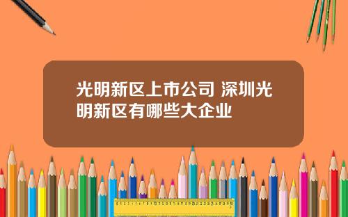 光明新区上市公司 深圳光明新区有哪些大企业