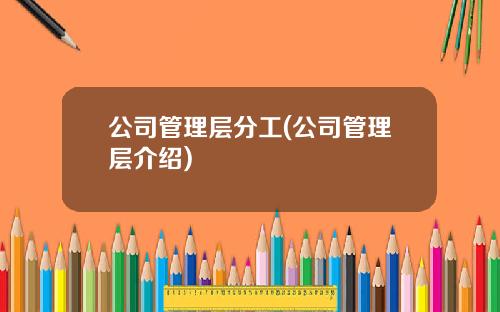 公司管理层分工(公司管理层介绍)
