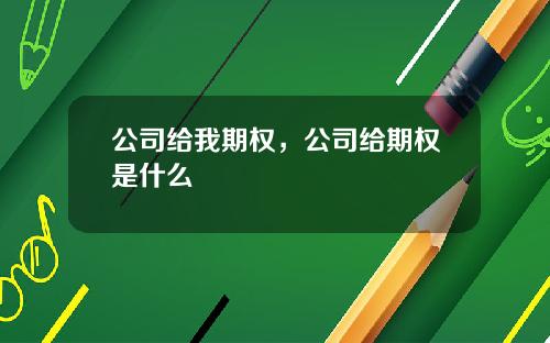 公司给我期权，公司给期权是什么