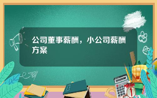 公司董事薪酬，小公司薪酬方案