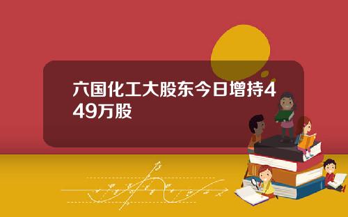 六国化工大股东今日增持449万股