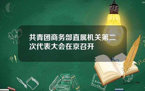 共青团商务部直属机关第二次代表大会在京召开