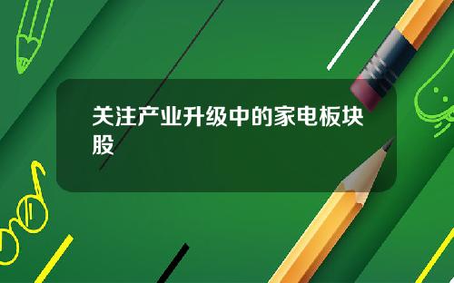 关注产业升级中的家电板块股