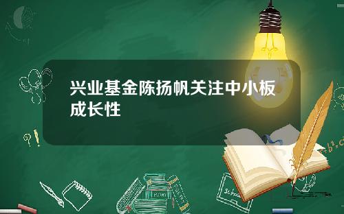 兴业基金陈扬帆关注中小板成长性