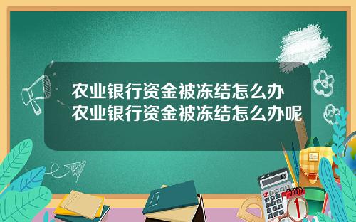 农业银行资金被冻结怎么办农业银行资金被冻结怎么办呢