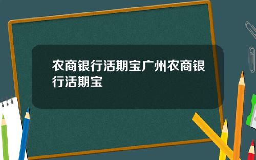 农商银行活期宝广州农商银行活期宝