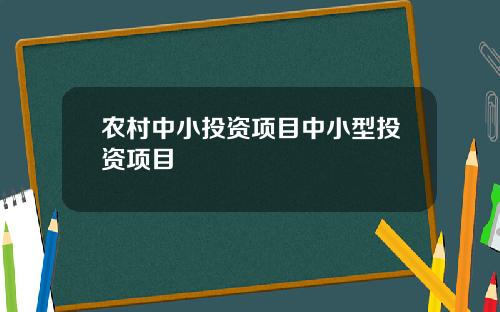 农村中小投资项目中小型投资项目