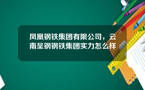 凤凰钢铁集团有限公司，云南呈钢钢铁集团实力怎么样