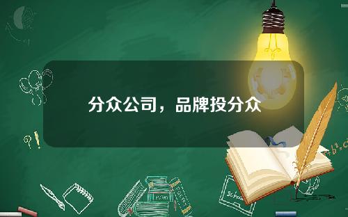 分众公司，品牌投分众