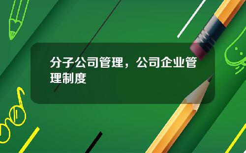 分子公司管理，公司企业管理制度